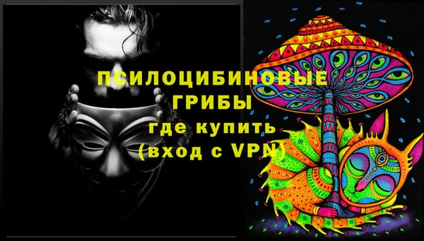 трава Балахна