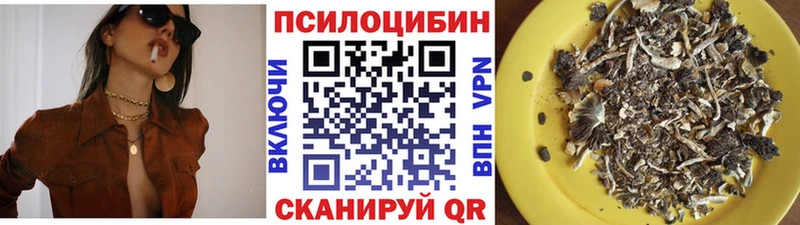 даркнет сайт  Сафоново  Галлюциногенные грибы Psilocybe 